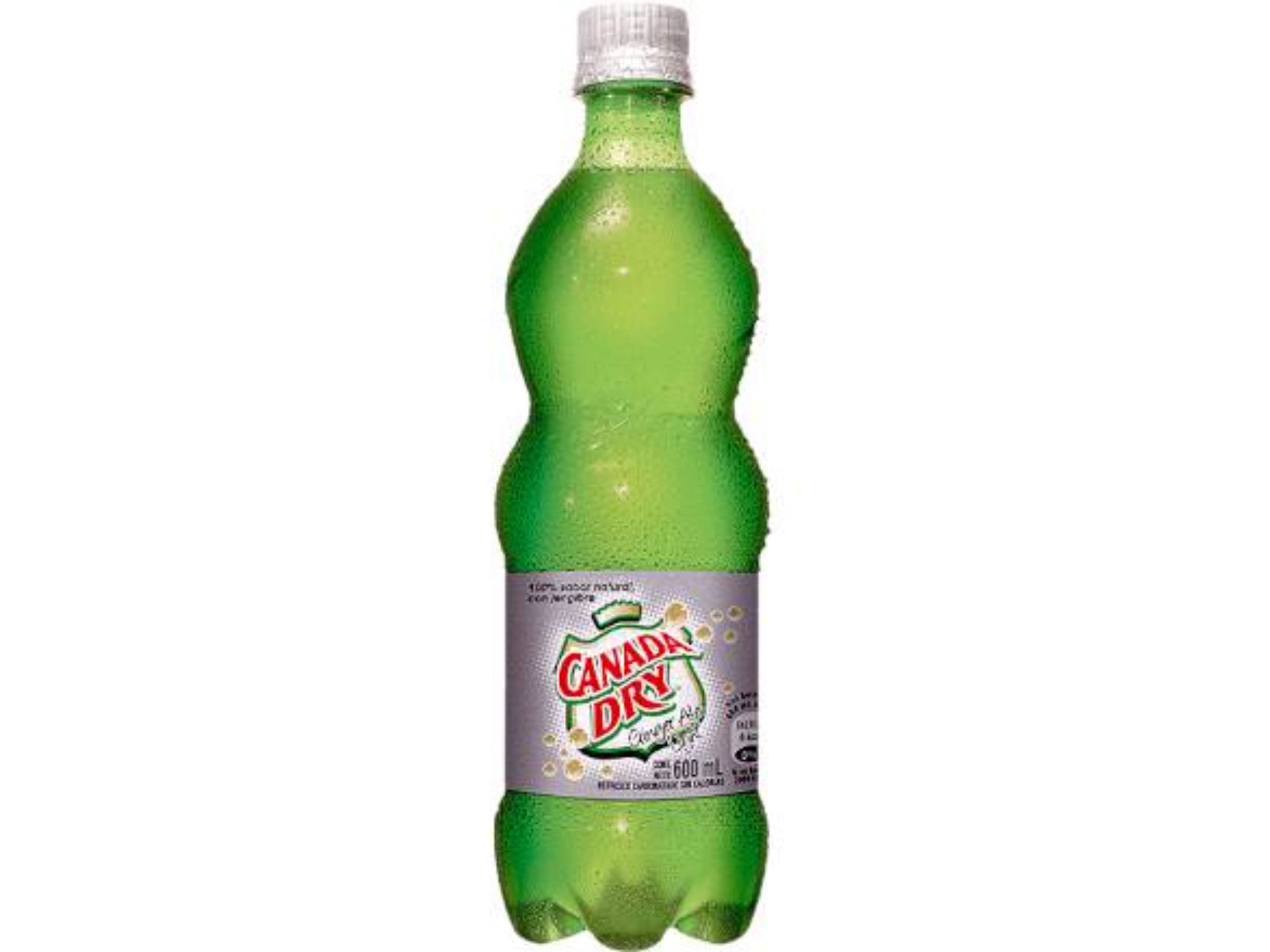 Ginger Ale Ligth 600 ml