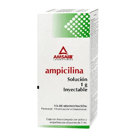 Ampicilina Solucion Inyectable 1 g 1 Ampolleta de 5 mL