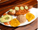 Tilapia a Menier
