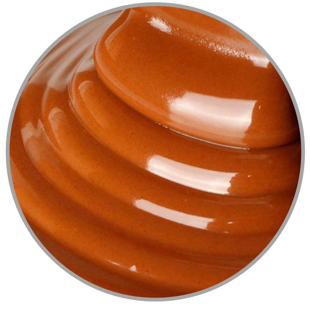 Salsa de Arequipe