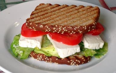 Sándwich Panela
