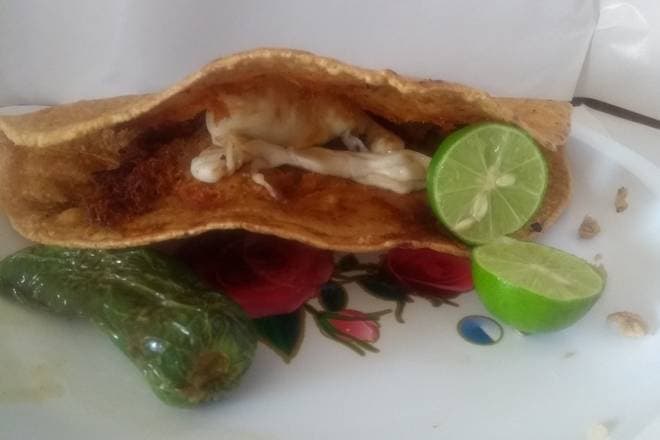 Taco Envenenado con Queso.
