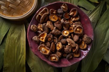 Hongos