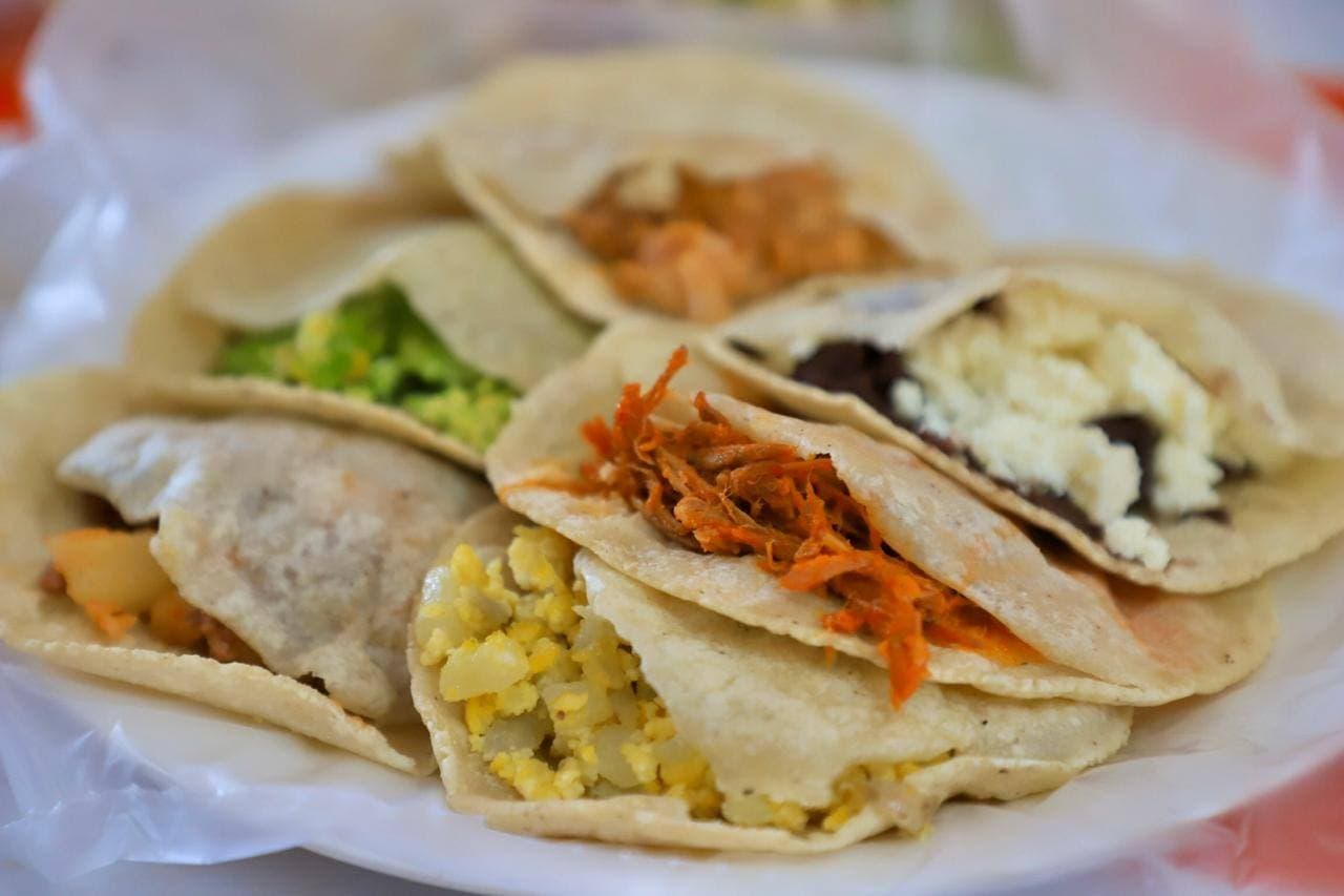 Gordita