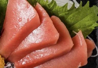 Sashimi Maguro
