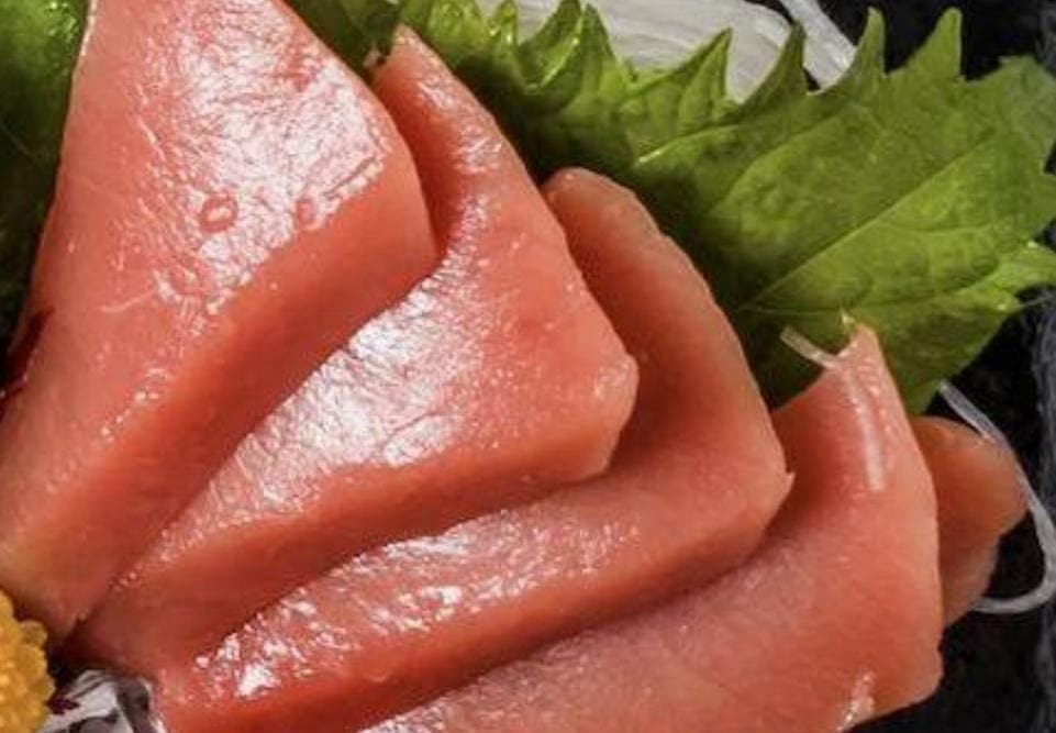 Sashimi Maguro