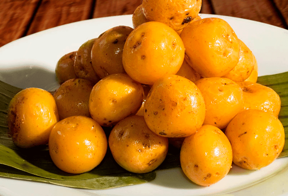 Papas Semilla