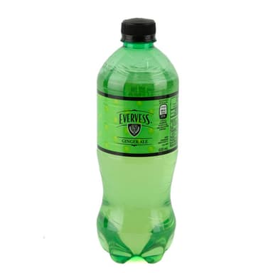 Evervess Ginger Ale 600ml