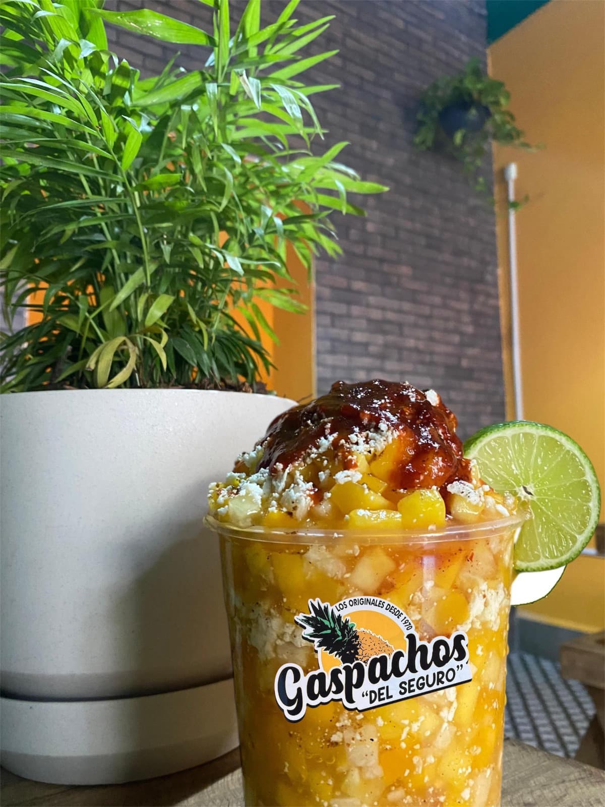 Gaspacho Jícama y Mango Medio Litro