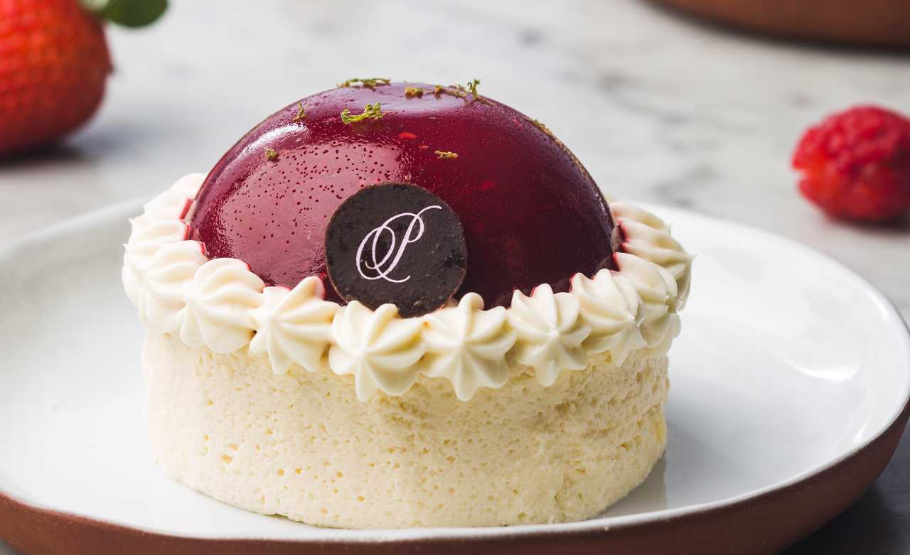 New York Cheesecake I SF Paulette