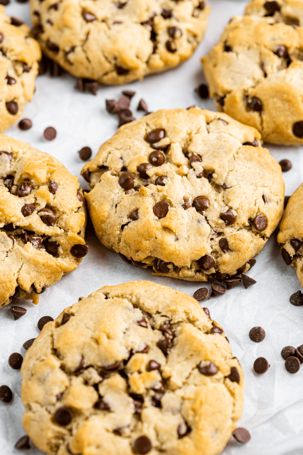 Galleta Chocochip