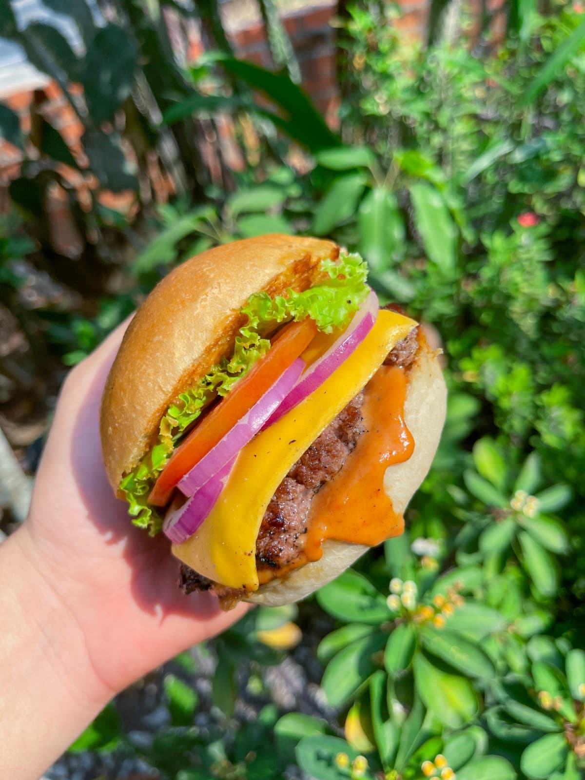 Combo Cheese Burger