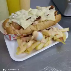 Combo 4 Perro