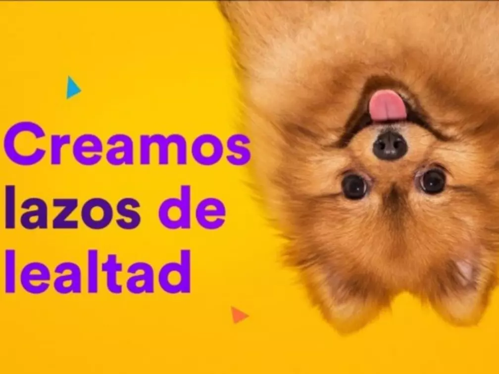 Kiumo Pet Center Primavera