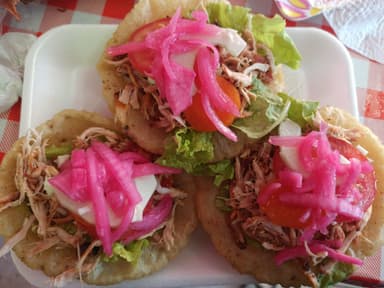 Salbut de Carne Molida