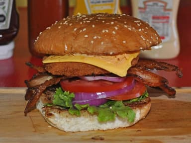 Pollo Burger (Sola)