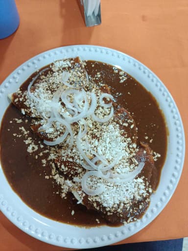 Enchiladas de Mole y Pollo