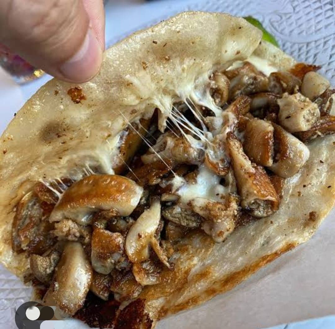 Quesadilla de Tripa