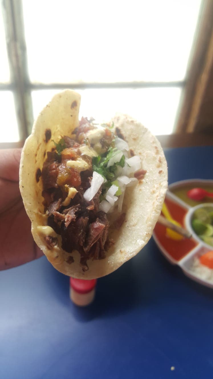 Taco de Barbacoa de Borrego