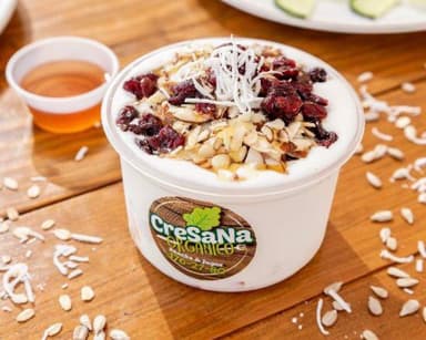 Yogurt Piña