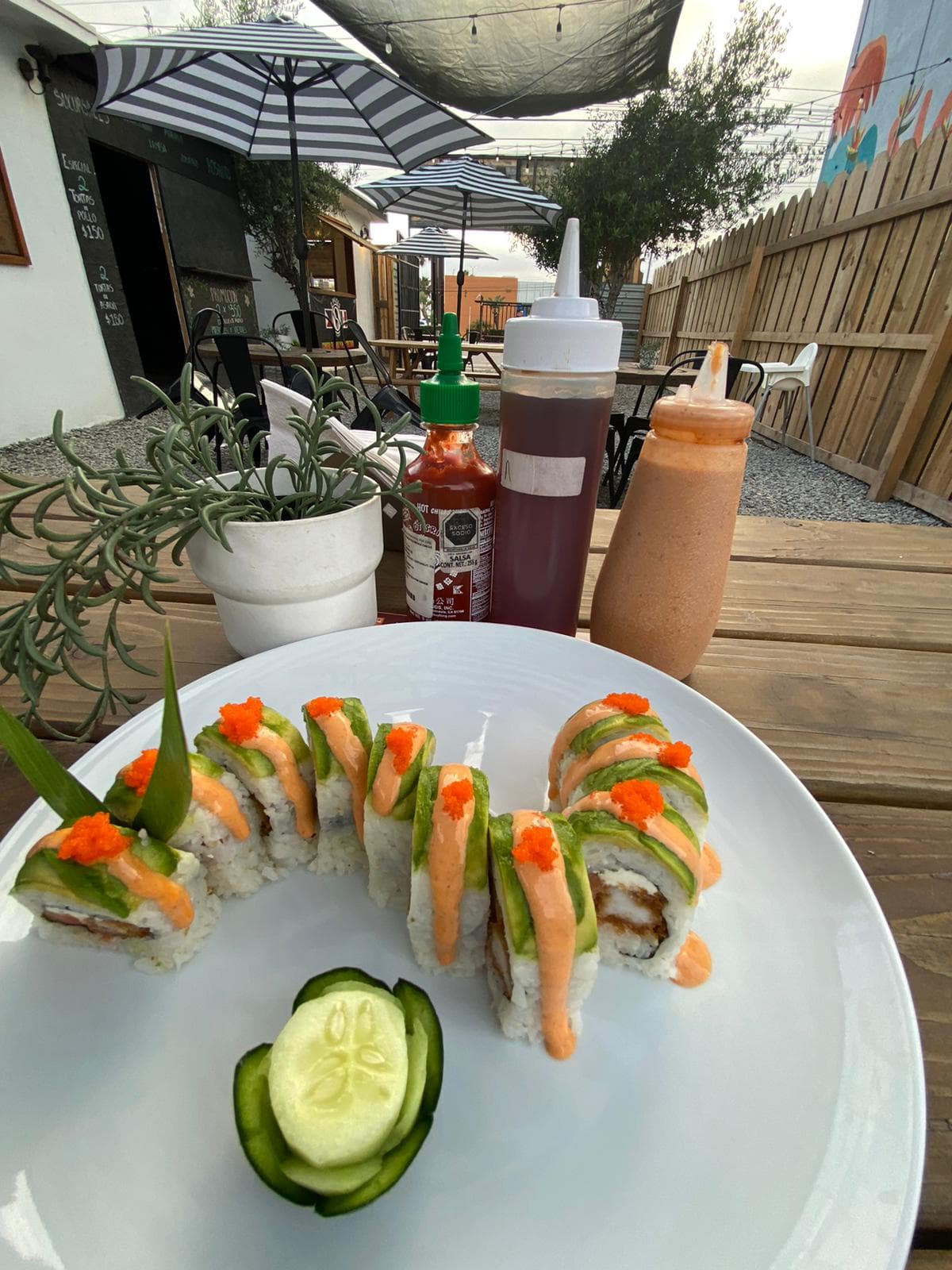 Umi Roll