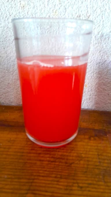 LITRO DE AGUA DE SANDIA