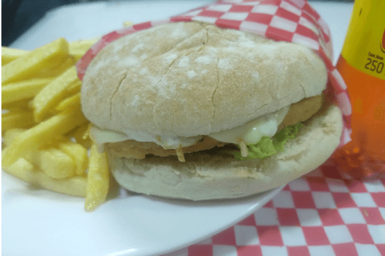 COMBO Hamburguesa Especial