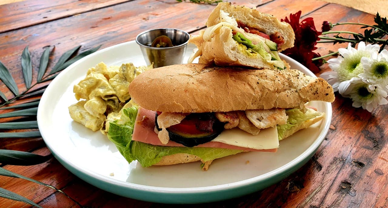Carnosaurio y Vegetales