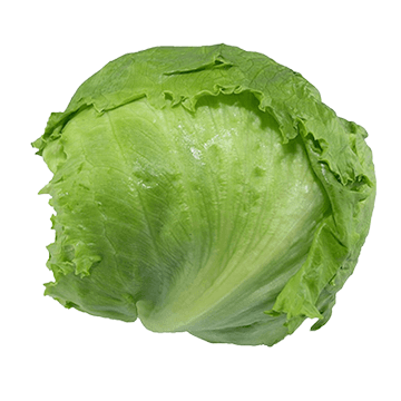 LECHUGA 1 pza