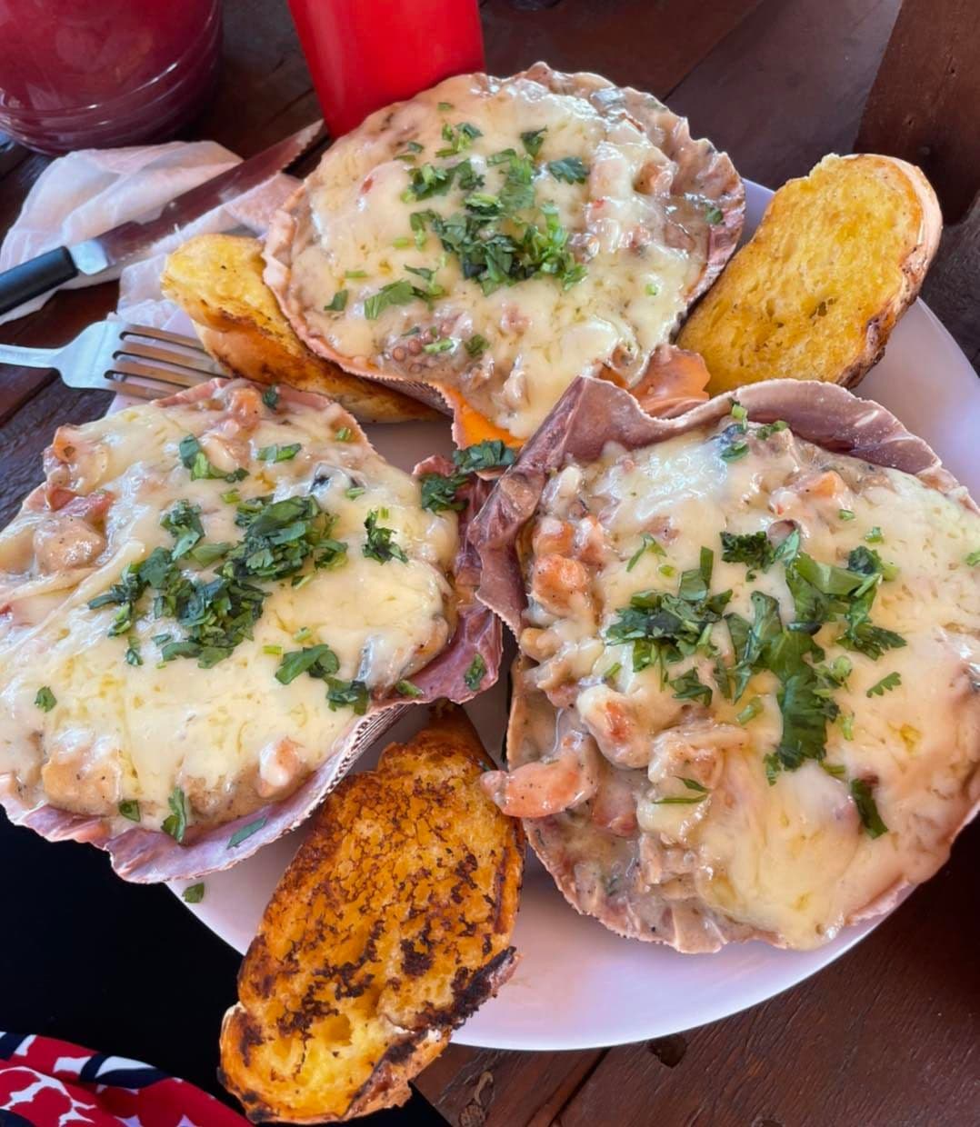 Conchas Gratinadas