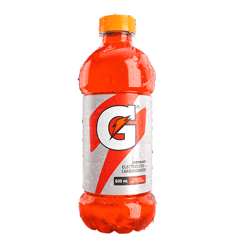 Gatorade Fruit Punch 600 ml