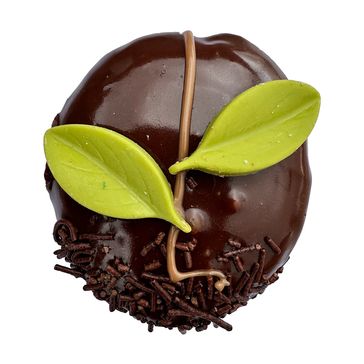 Hojas Chocolate