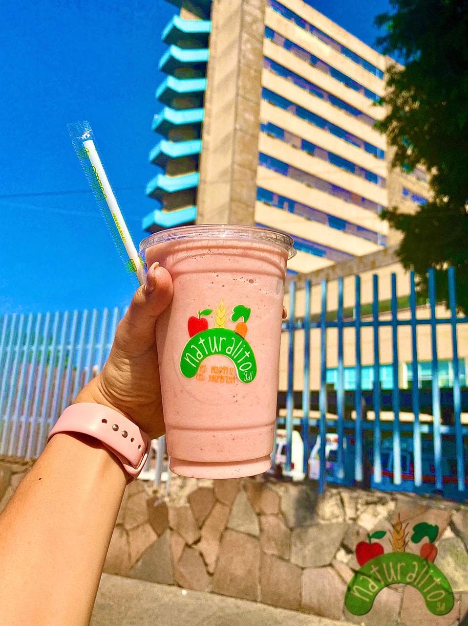 Smoothie con Agua o Leche