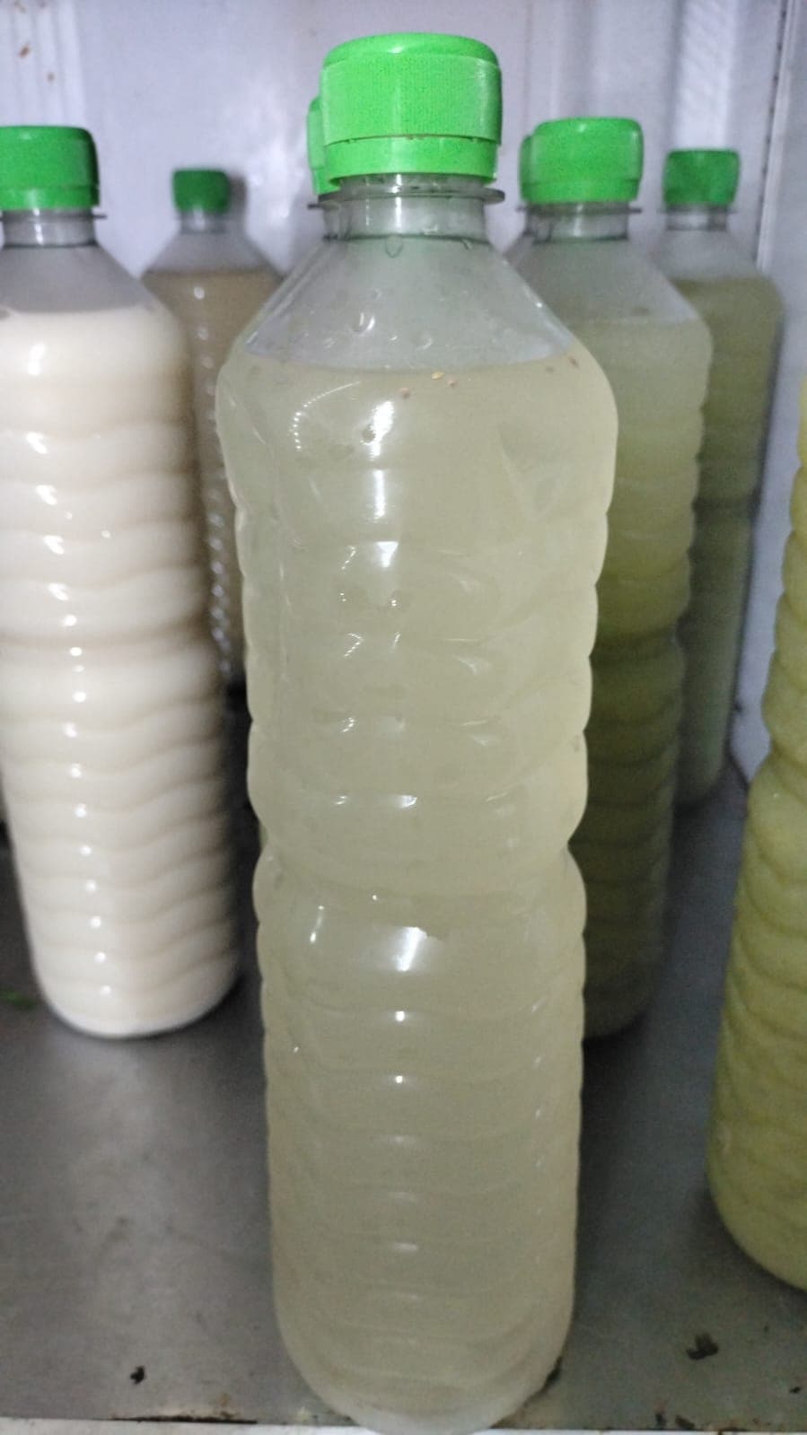 Agua de Limón con Chía 1L