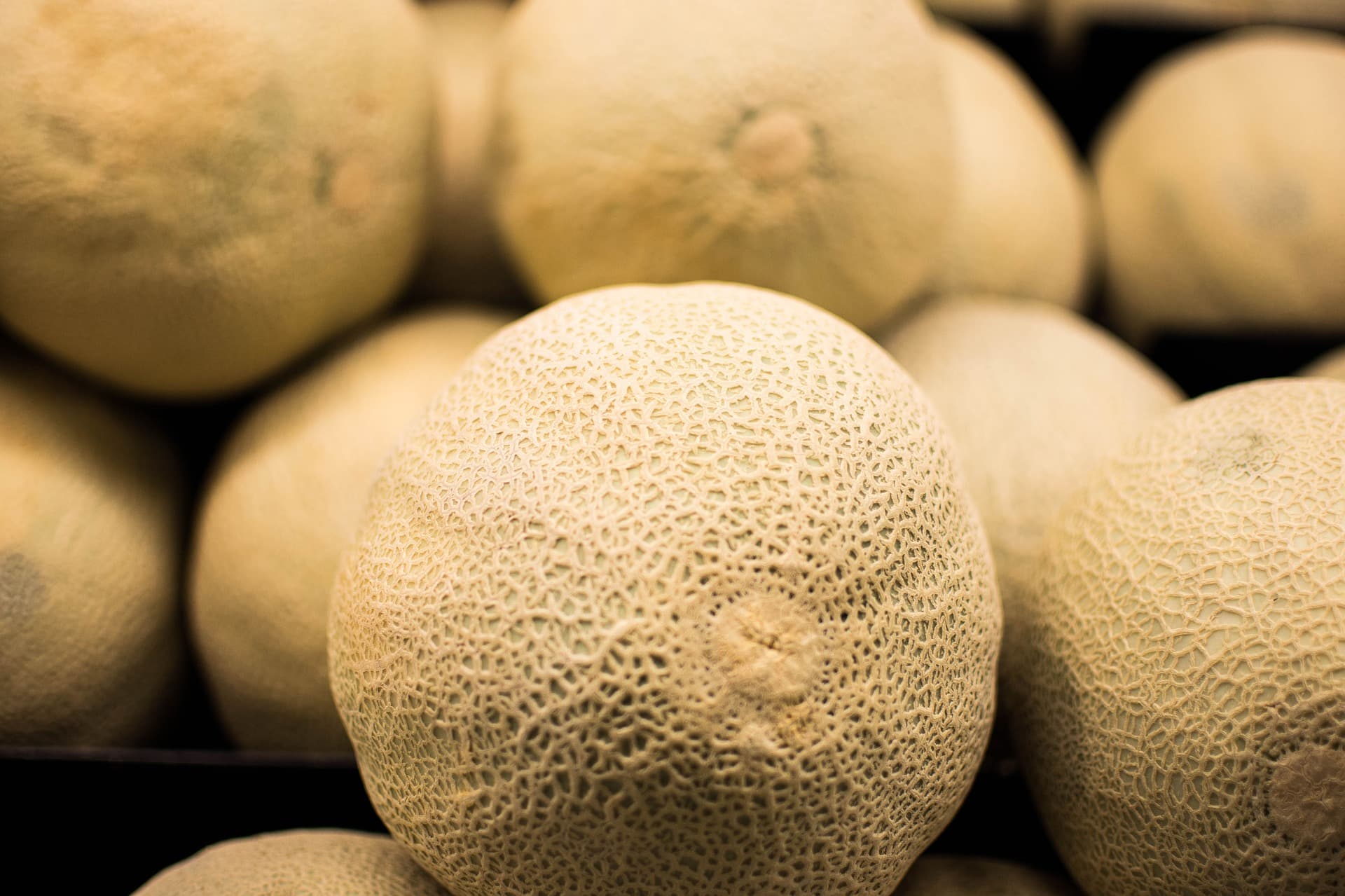 Melón