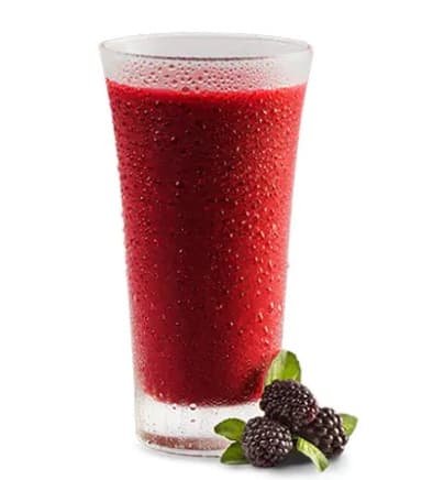 Jugo de Mora 250 ml
