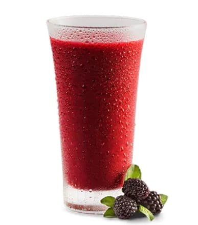 Jugo de Mora 250 ml