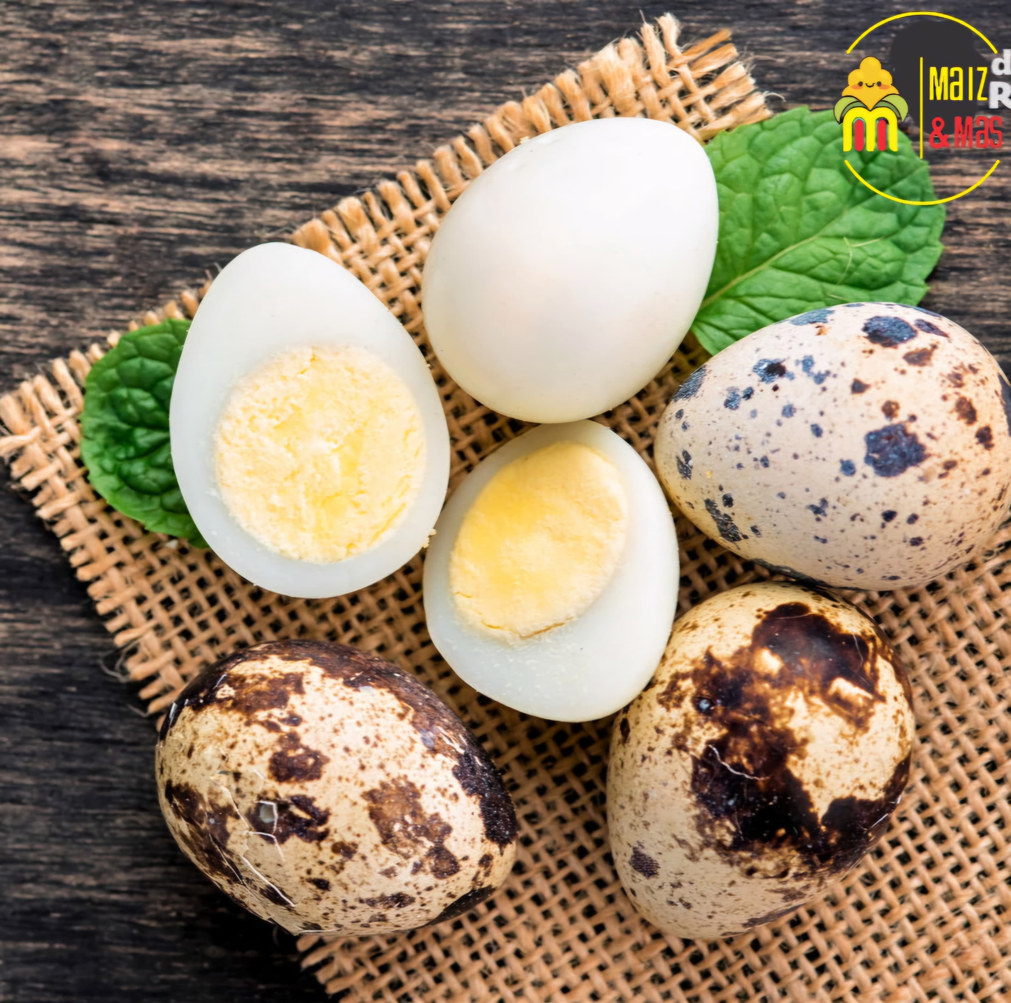 Huevos Codorniz Cocido