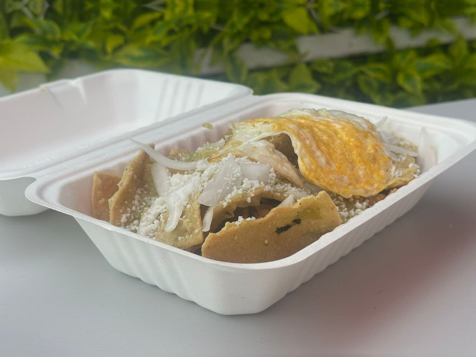 Domo de chilaquiles al gusto
