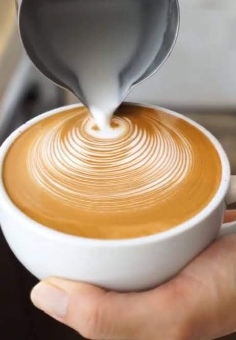 Capuchino Malvavisco