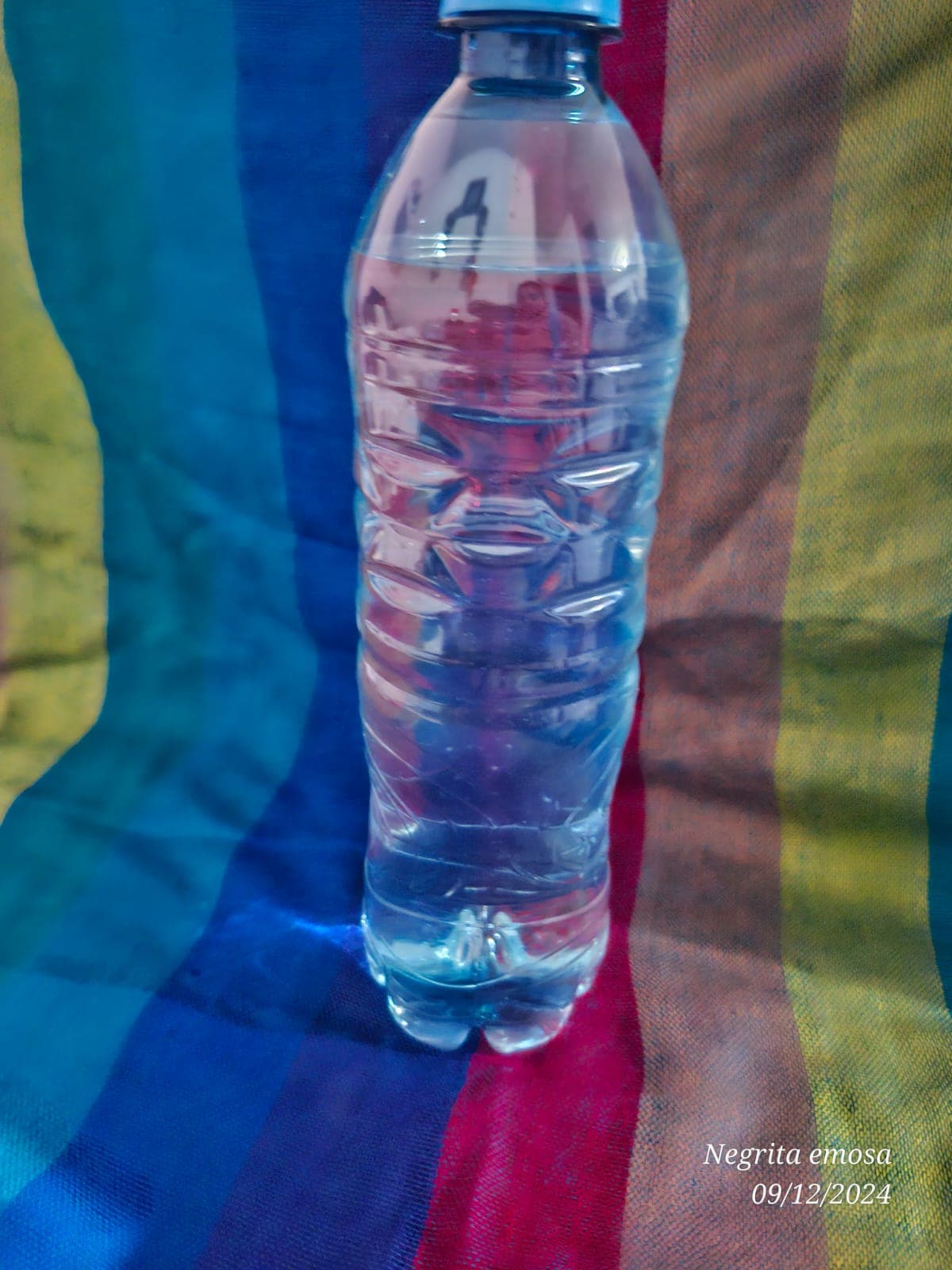 Agua Natural Botella 500 ml