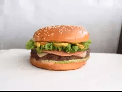 Hamburguesa Especial