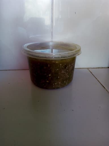 Bistec en Salsa Verde