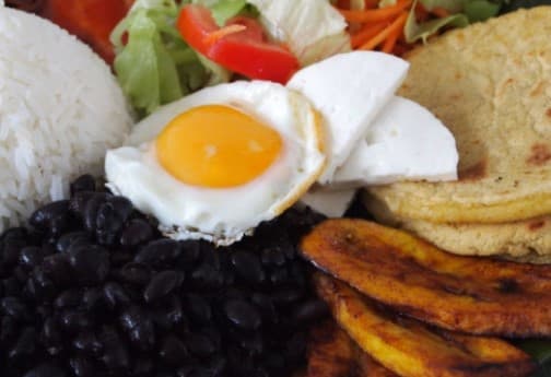 Casado Vegetariano