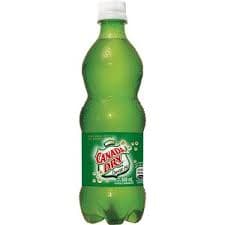 Ginger Ale 600 ml