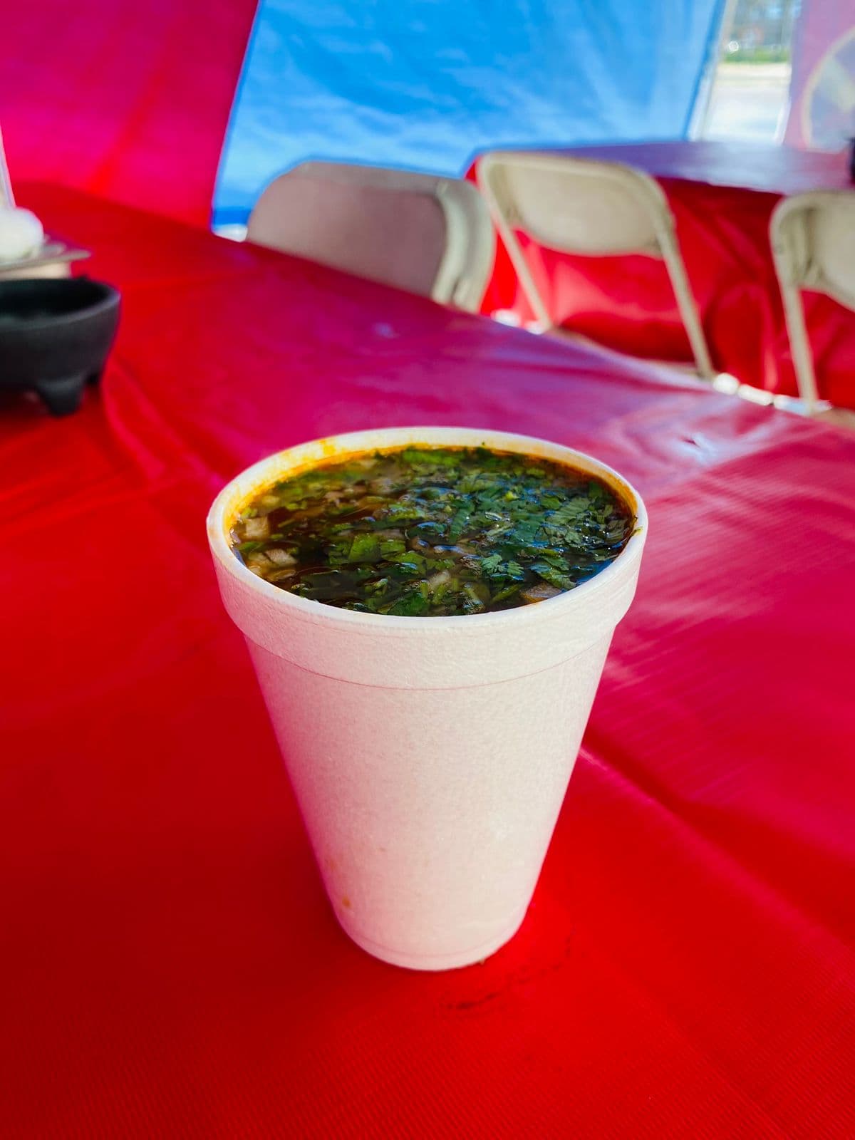Carne Vaso #12