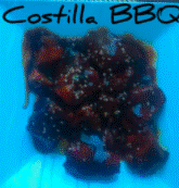 Costilla En Salsa BBQ Chica