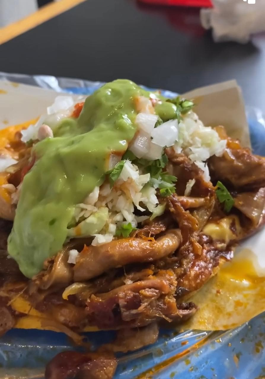 Tripa con Birria (mixto)