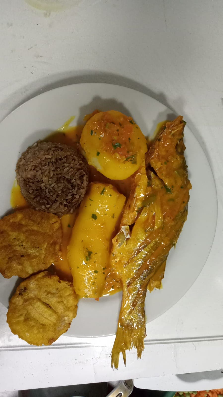 Robalo Sudado