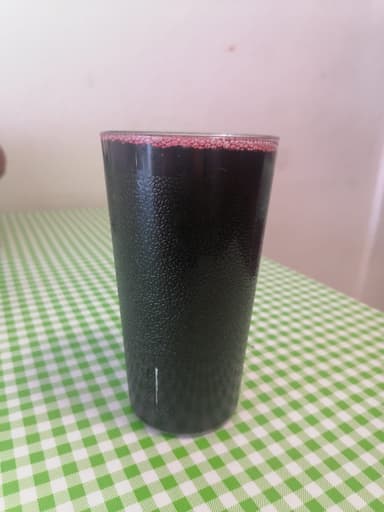Agua Fresca de Jamaica 1/2